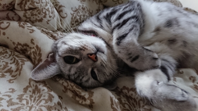 20190712062135506.jpg