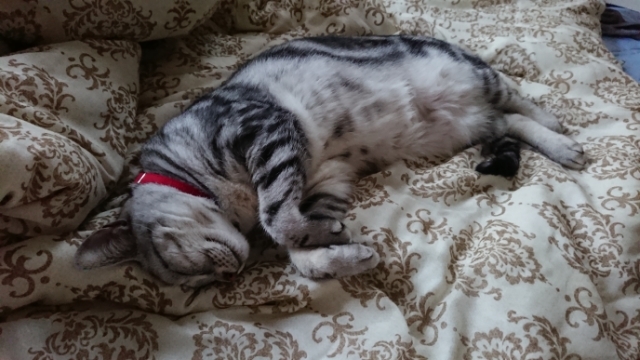 20190712062150540.jpg