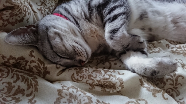 20190712062202803.jpg