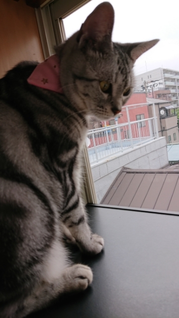 20190713070832143.jpg