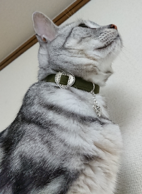 20190715201339666.jpg