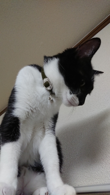 20190715203111831.jpg