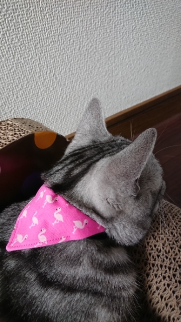 20190716073406616.jpg