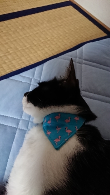 20190717071247321.jpg
