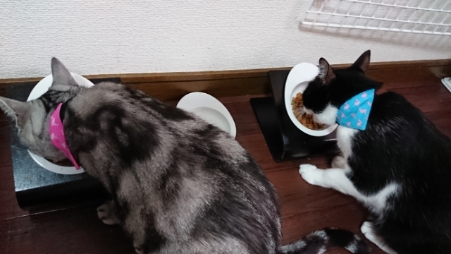 20190717071329988.jpg
