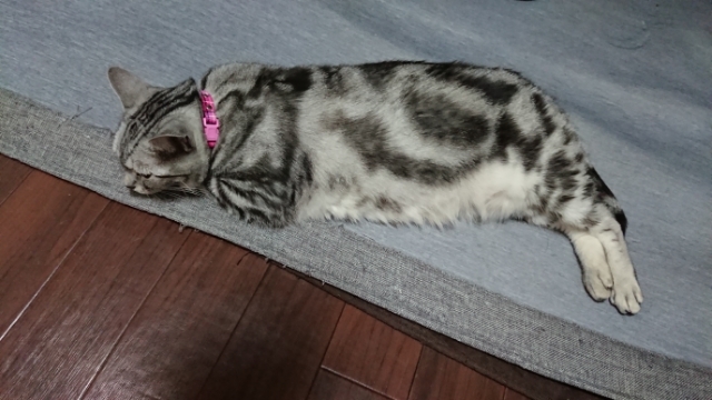20190719074527267.jpg