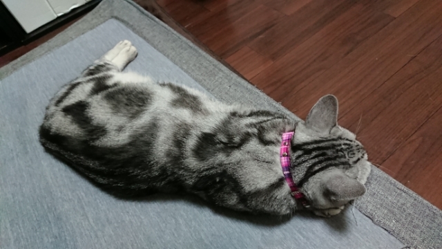 20190719074531946.jpg