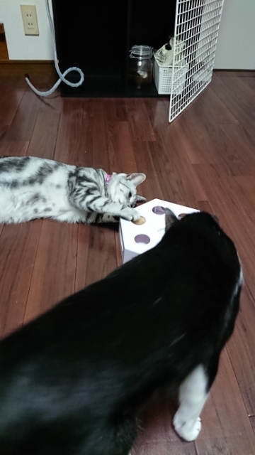 20190719192925828.jpg