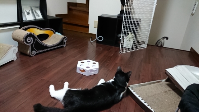 20190719193231842.jpg