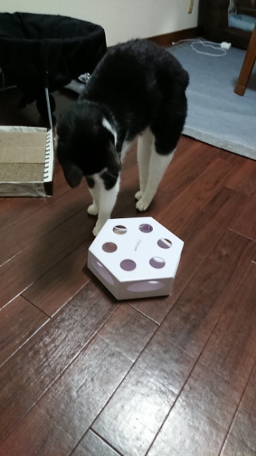 20190719193527927.jpg