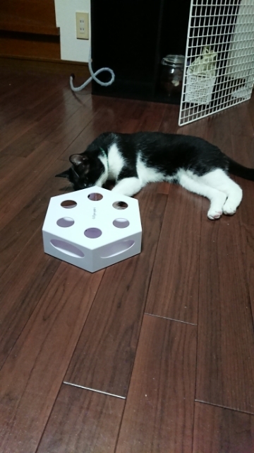 20190719193551237.jpg