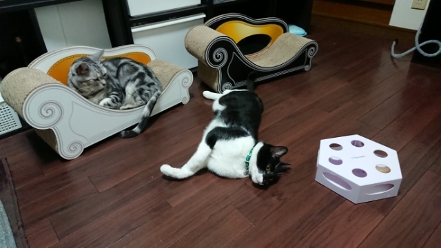 20190719193624334.jpg