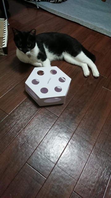 20190719193757680.jpg