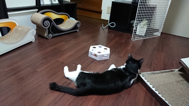 20190719193821541.jpg