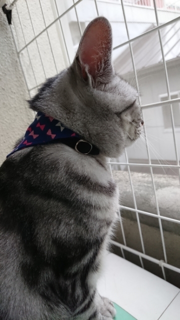 20190722185208788.jpg