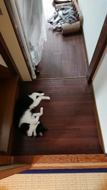 20190727100006194.jpg