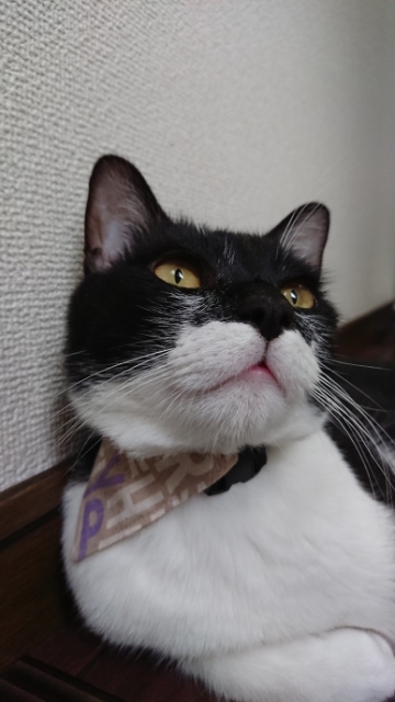 20190727104605599.jpg