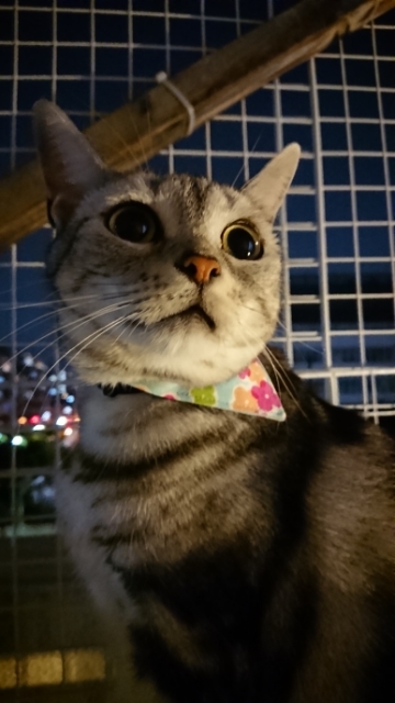 20190728202206960.jpg