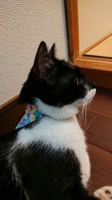 20190728204856053.jpg