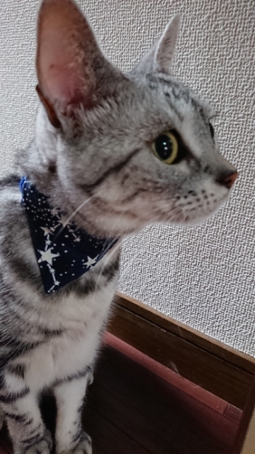 20190730071013186.jpg