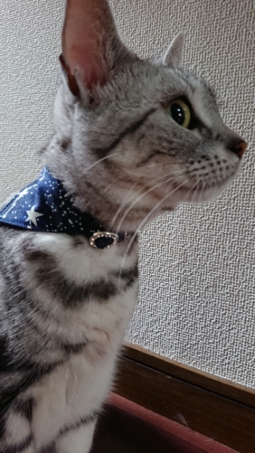 20190730071031207.jpg