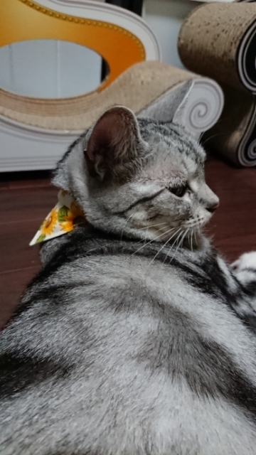 20190801191248467.jpg