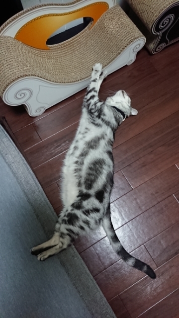 20190801191749490.jpg