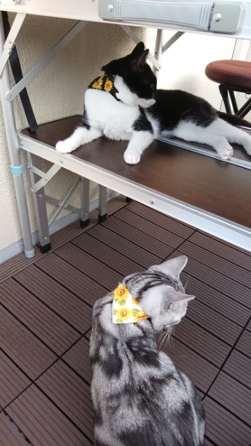 20190802061244898.jpg