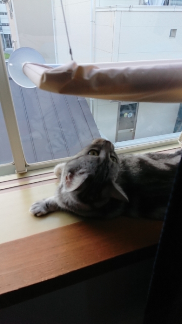 20190808081449214.jpg