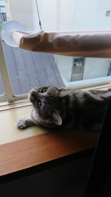 20190808081508819.jpg