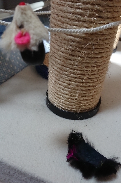 20190808100215681.jpg