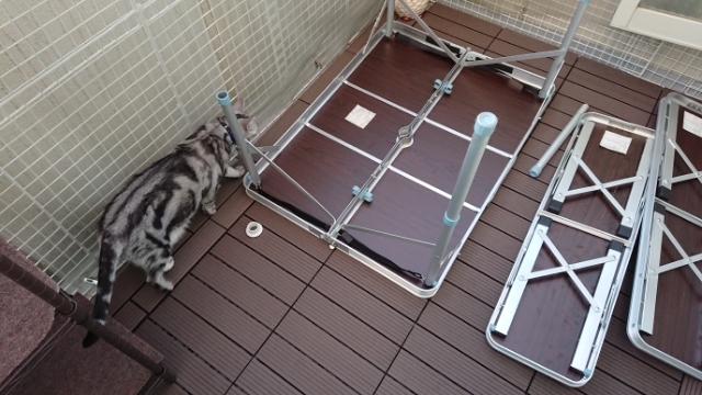 20190813175844914.jpg