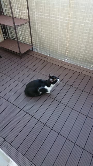 20190813175907339.jpg