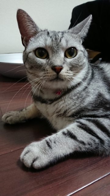 20190814080117940.jpg