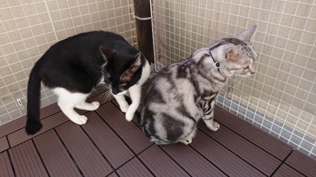 20190814083150266.jpg