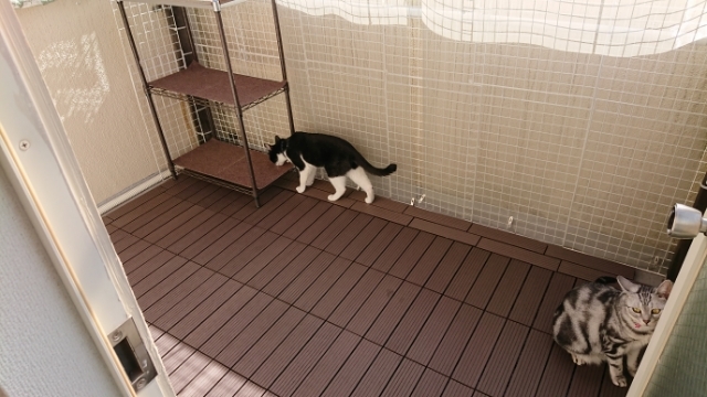 20190814083207297.jpg