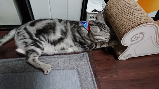 20190820072650202.jpg
