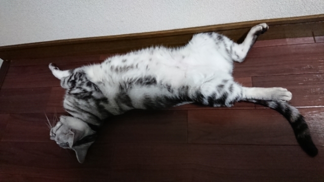 20190821211727875.jpg