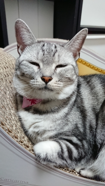 20190824173031568.jpg