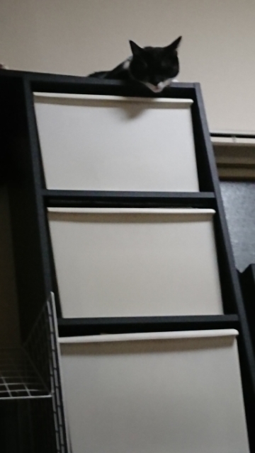 20190824211251631.jpg