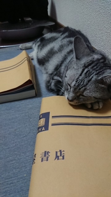 20190901174138102.jpg