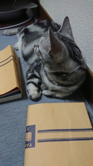20190901174300914.jpg