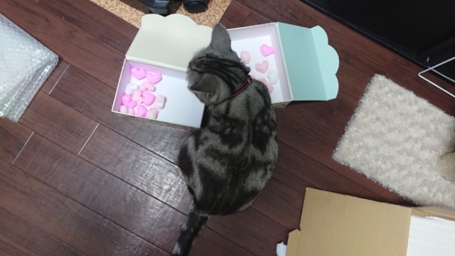 20190901181415581.jpg
