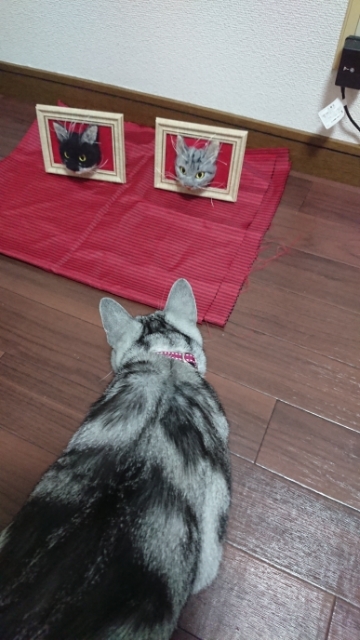 20190901181516849.jpg