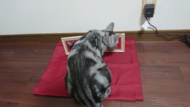 20190901181654632.jpg