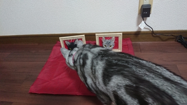 20190901181835248.jpg