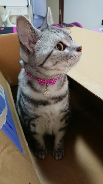 20191010175614200.jpg