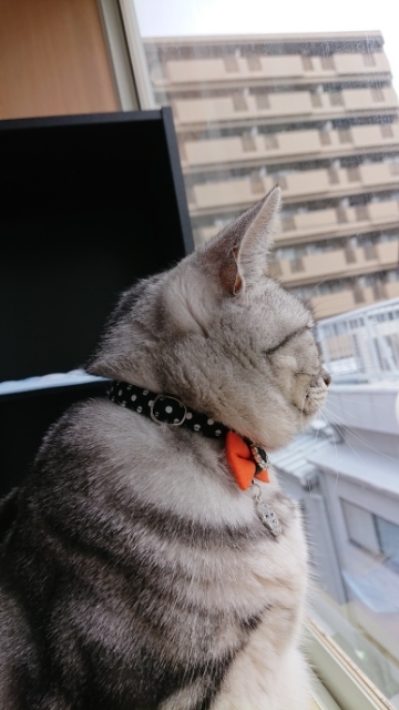 20191017154735568.jpg