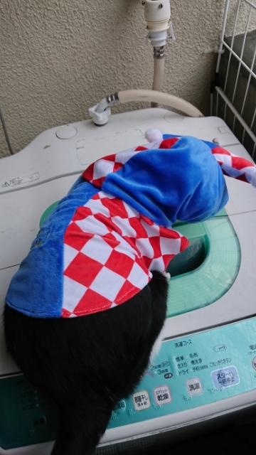 20191019073125955.jpg