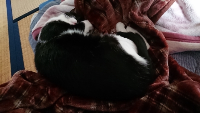 20191019074943678.jpg